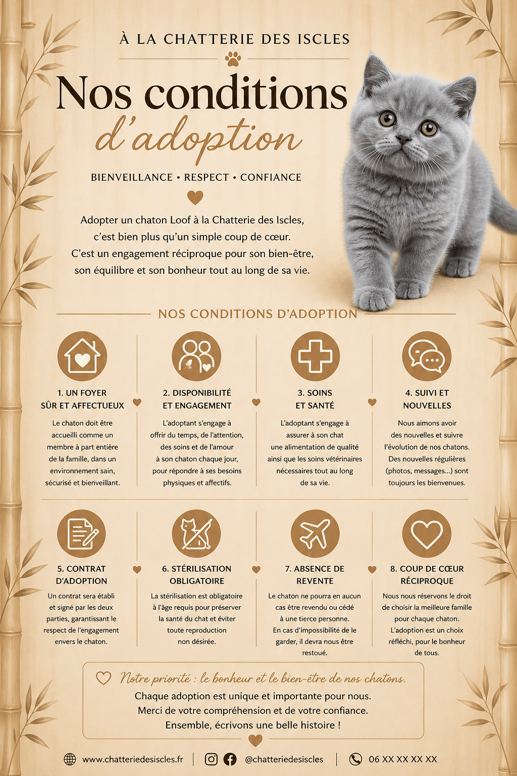 Infographie des 8 conditions d'adoption de La Chatterie des Iscles avec un chaton British Shorthair gris et bienveillant.